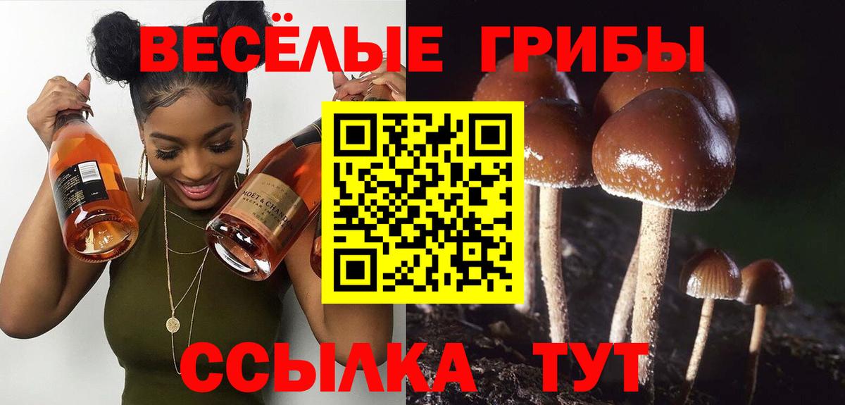 Галлюциногенные грибы MAGIC MUSHROOMS  Вход с VPN  Псилоцибиновые грибы MAGIC MUSHROOMS  как найти закладки  Видное 